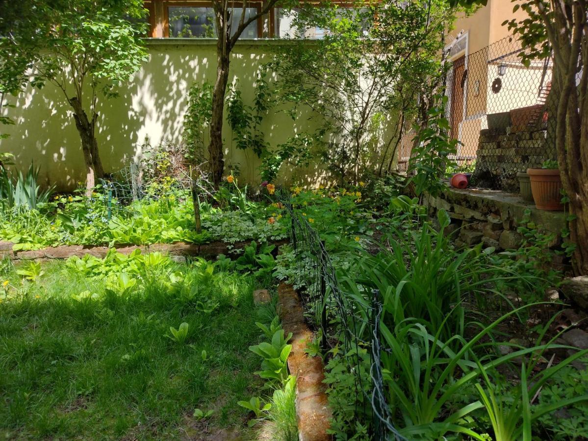 Charming Central Home With Garden Near Parking And Ndk Sofia Ngoại thất bức ảnh