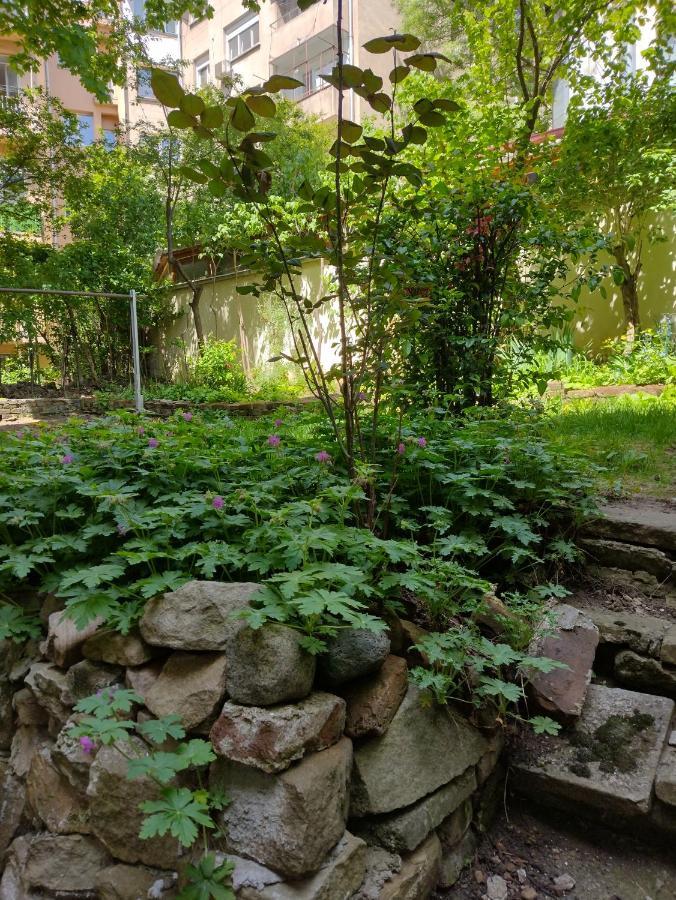 Charming Central Home With Garden Near Parking And Ndk Sofia Ngoại thất bức ảnh
