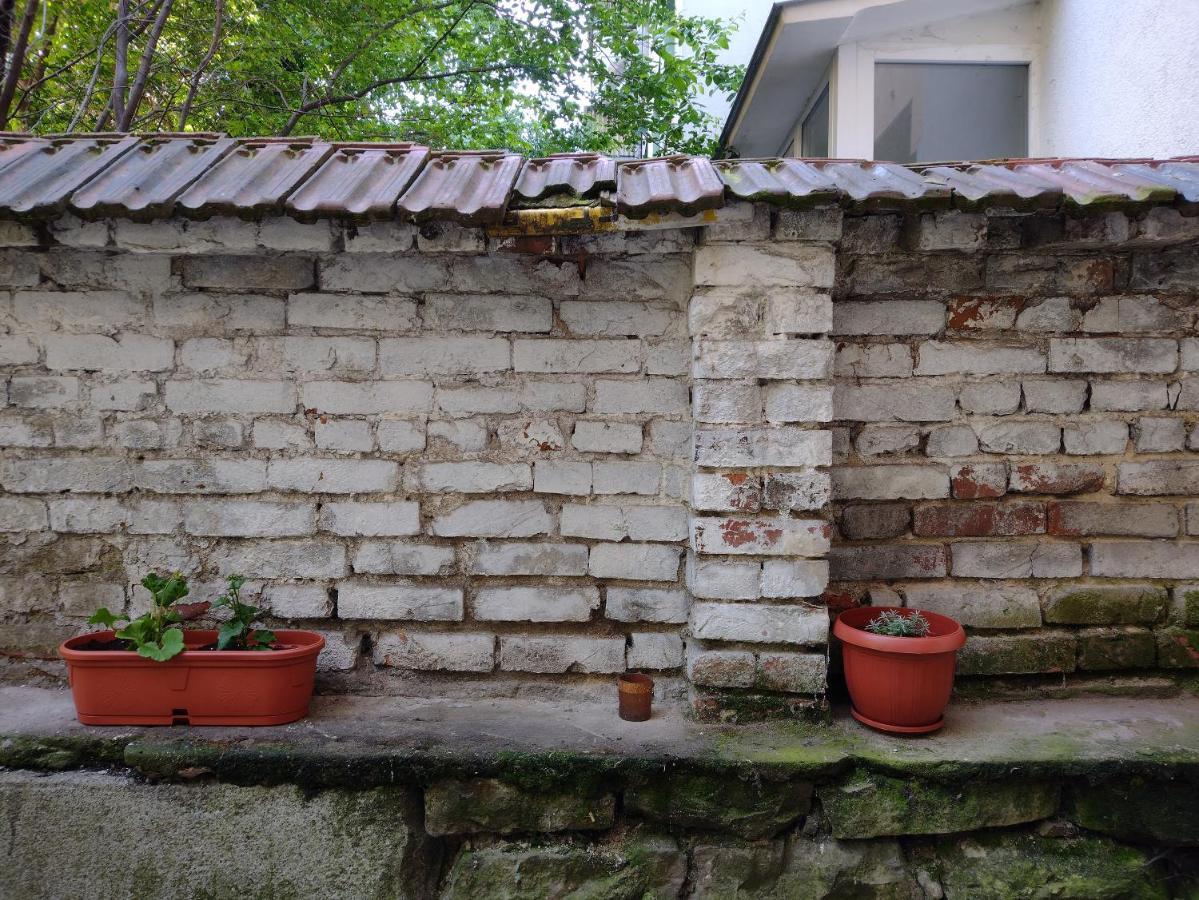 Charming Central Home With Garden Near Parking And Ndk Sofia Ngoại thất bức ảnh