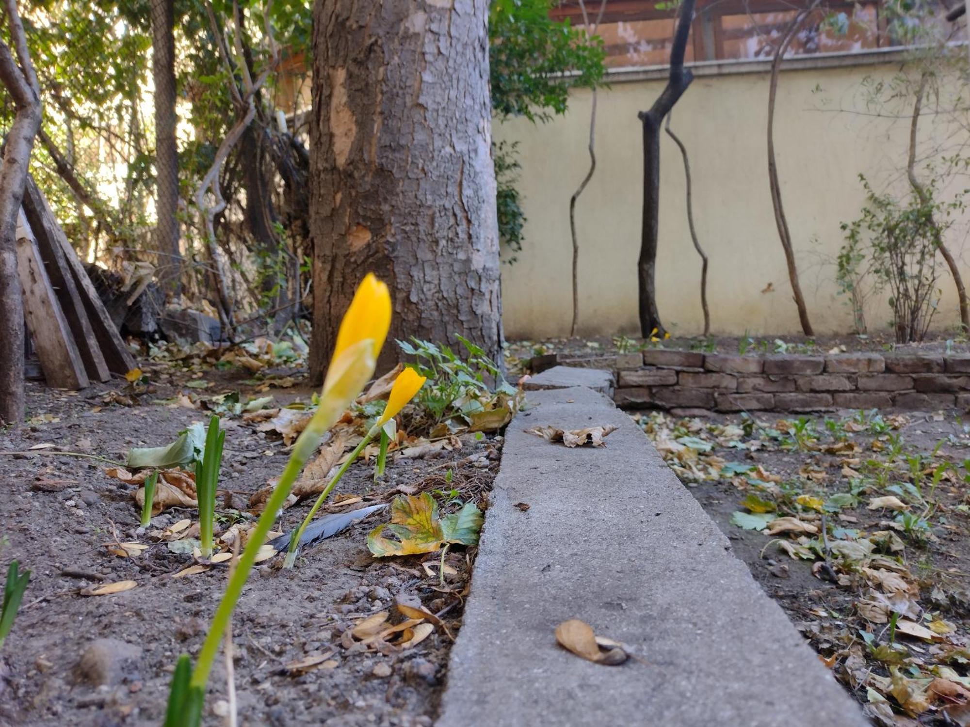 Charming Central Home With Garden Near Parking And Ndk Sofia Ngoại thất bức ảnh