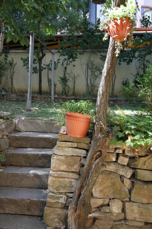 Charming Central Home With Garden Near Parking And Ndk Sofia Ngoại thất bức ảnh
